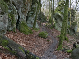 MULLERTHAL TRAIL - ROUTE 2-luxembourg