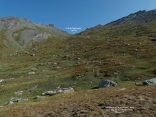 COL ET LACS DE L EYCHASSIER-hautes-alpes