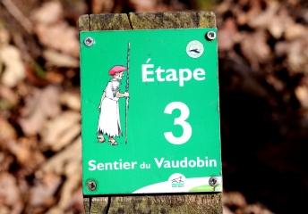 TRUN - LE VAUDOBIN - CAMP CELTE-orne