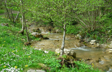 Les balcons de Lhuis-ain