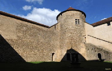 CHATEAU DES ALLYMES-ain