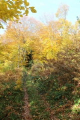 FAY-COMBE DE SAIX-SOUCLIN-ain