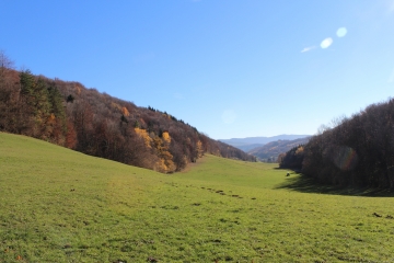 GRATOUX-ANGRIERES-ain