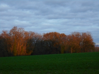 DAGNEUX - LAC NEYTON-ain