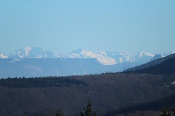 CLEYZIEU - CRET DE SAINT MARTIN-ain