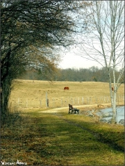 HAUTEVILLE-LOMPNES-ain