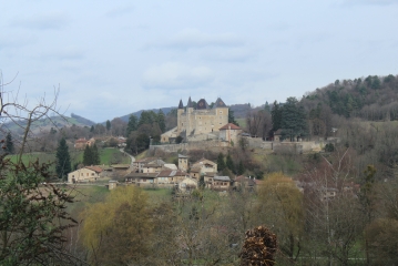 SAINT-JEAN-LE-VIEUX - BOIS DE VARICE-ain