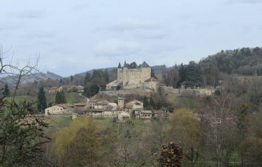 SAINT-JEAN-LE-VIEUX - BOIS DE VARICE-ain