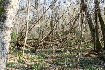 LA CEUILLE - LES ROCHES-ain