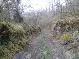 VILLEBOIS - TOUR DE CUNY-ain