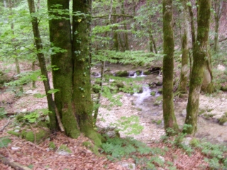 ONGLAS - CASCADE DU LUIZET-ain