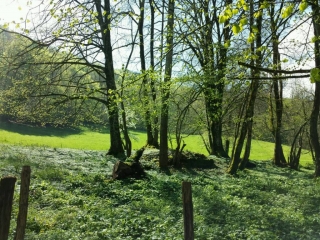 AUTOUR DES ALLYMES-ain