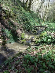 AUTOUR DES ALLYMES-ain