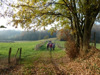SAINT MARTIN DU MONT-ain