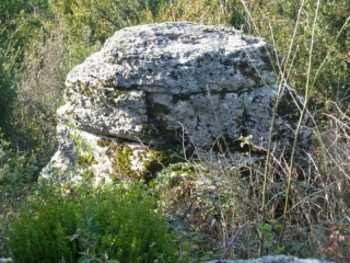 SAINT MARTIN DU MONT-ain