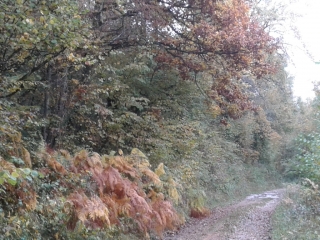 SOUDON - CRET ST MARTIN - CRET DU PONT-ain