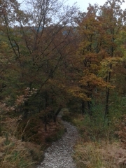 SOUDON - CRET ST MARTIN - CRET DU PONT-ain