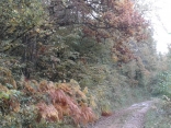SOUDON - CRET ST MARTIN - CRET DU PONT-ain