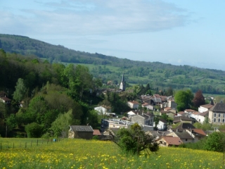 JUJURIEUX - DAME BLANCHE-ain