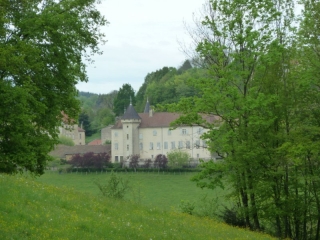 JUJURIEUX - DAME BLANCHE-ain