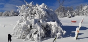 RANDONNEE RAQUETTES A NEIGE A CUVERY - AIN-ain