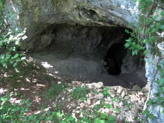 BOIS DE LA MORGNE-ain