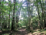 PEYRIEU-ain