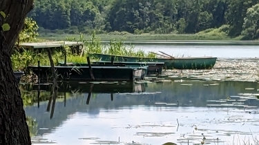 LAC DE BARTERAND -ain