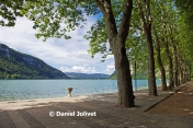 NANTUA – TOUR DES FECLES.-ain