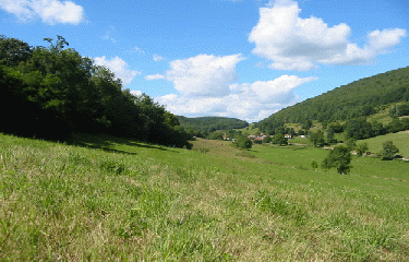 CROIX DES MOINES-ain