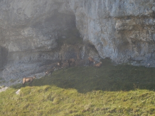 LE TIOCAN - CRET DE LA NEIGE-ain