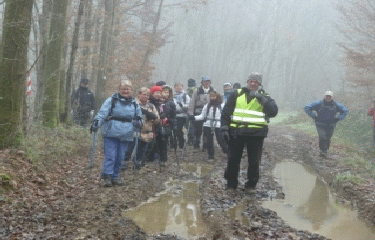 FOISSIAT - A LA POURSUITE DES LUTINS-ain