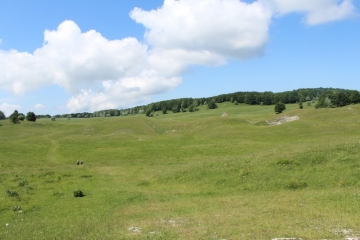 PLATEAU DU RETORD -ain