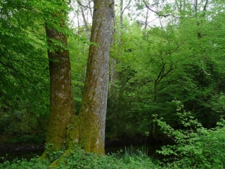 SAINT MARTIN BOULOGNE-ain