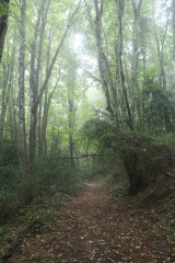 BOUCLE AUTOUR DU CHATEAU DE SAINT-GERMAIN-ain