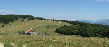 LES PLANS D HOTONNES-ain