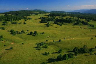 LES PLANS D HOTONNES-ain