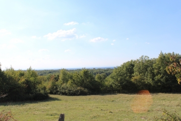 LES BOIS AU DESSUS D AMBRONAY-ain