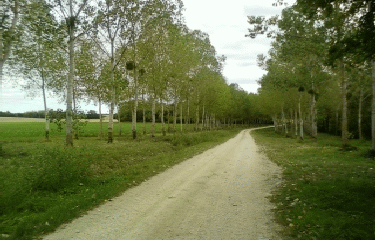 MOUSSEY - SAINT-JEAN-DE-BONNEVAL-aube