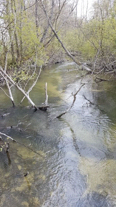 CANAL DE BERNIERES-aube
