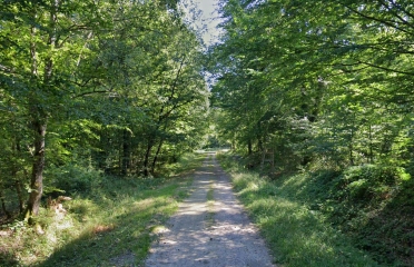 BOUILLY - SENTIER DES MOUTONS (12,8 KM)-aube