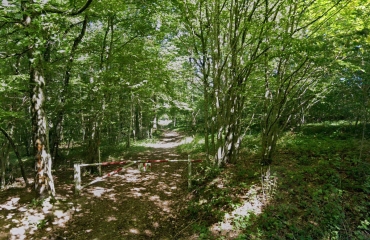 BOUILLY - SENTIER DES MOUTONS (9 KM)-aube
