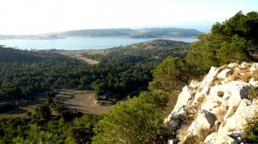 LES FALAISES DE LA CLAPE-aude