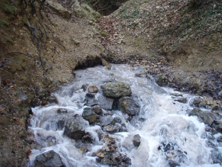 SOURCE SALEE AUTOUR DE BUGARACH-aude