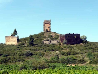 LE CASTELLAS ET LES SOURCES DE FONTFROIDE-aude