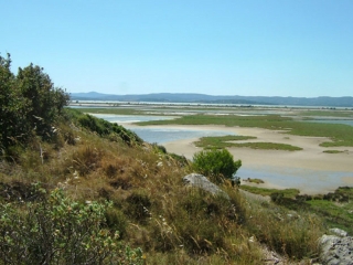 LES GOULES - GRUISSAN-aude