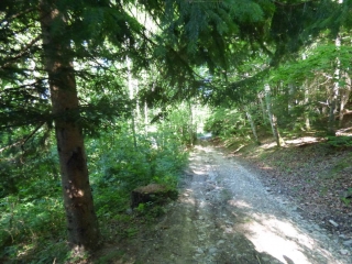 TOUR DU BOIS DU LINAS (COURT)-aude
