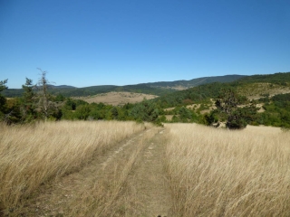 TOUR DU BOIS DU LINAS (COURT)-aude