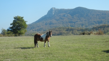 CUBIERES - GOURG DE L ANTRE -  PLA DE BREZOU-aude