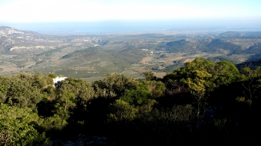 FEUILLA - MONTOLIER DE PERELLOS-aude